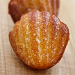 MADELEINE CITRON DE SICILE